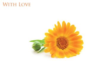 1 x Pack Large With Love Card - Funeral / Memorial Yellow/Orange Daisy Floral Design