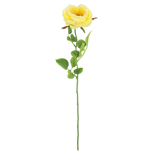 75cm Lemon Open English Rose - Artificial Flower