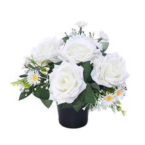 Ivory Rose White Daisy Memorial Grave Pot