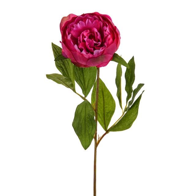 72cm Peony Stem Two Tone Pink - Artificial Flower Single Stem