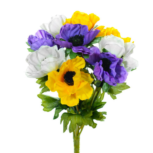 Anemone Bush - Yellow Purple White - 27cm