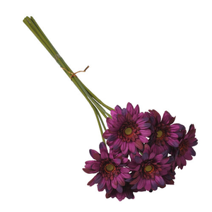 47cm Mini Gerbera Bundle - 7 Stems - Purple