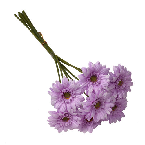 47cm Mini Gerbera Bundle - 7 Stems - Lilac