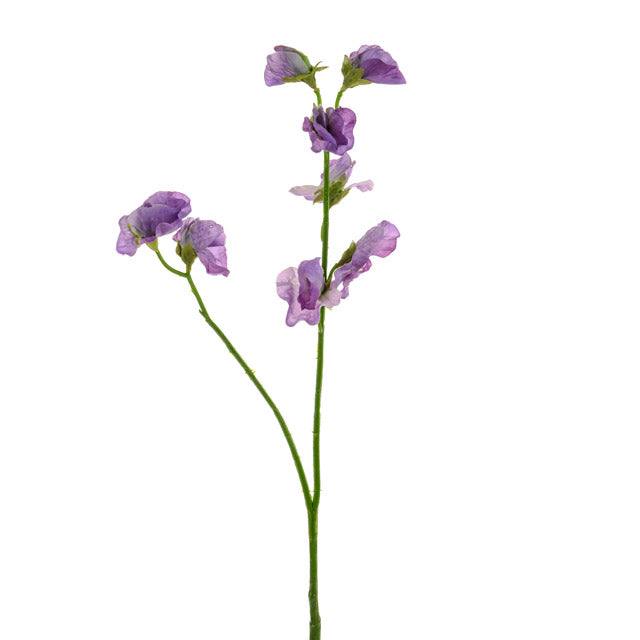 48cm Artificial Sweetpea Stem Lilac