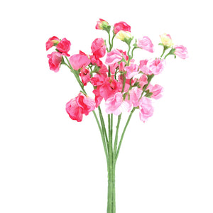 Sweetpea Bunch Pink 42cm