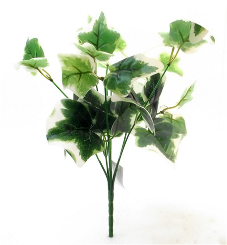 33cm Variegated Ivy Bush