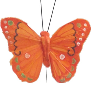 Multi Coloured Feather Butterfly Butterflies (12 Pack)