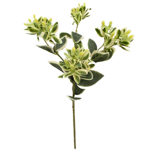47cm Euphorbia Spray Variegated - Foliage Artificial