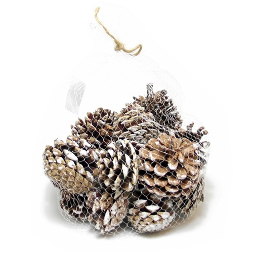 Ashland Pinecone Bag - Each