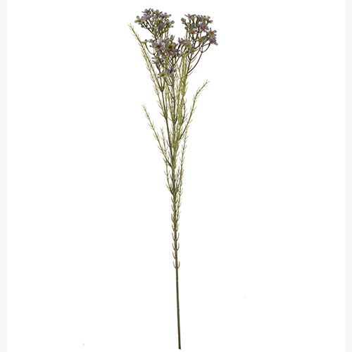 79cm Autumn Lilac Purple Dry Waxflower Spray - Artificial Flower