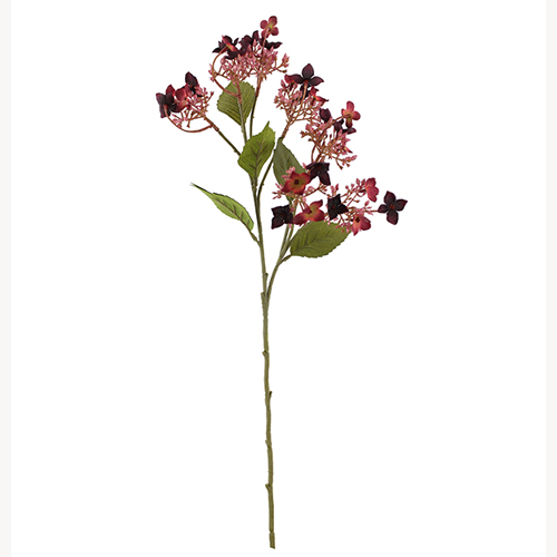 62cm Autumn Burgundy Dry Wild Hydrangea Spray - Artificial Flower
