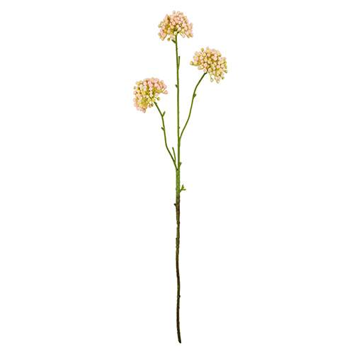 60cm Soft Touch Single Stem Allium Spray Pink - Artificial Flower