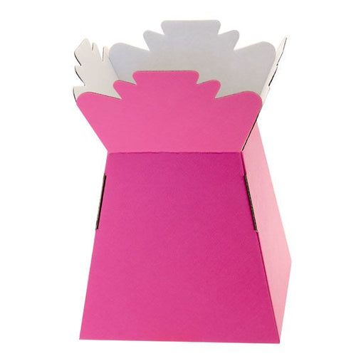 30 x Hot Pink Living Vase - Aqua Box
