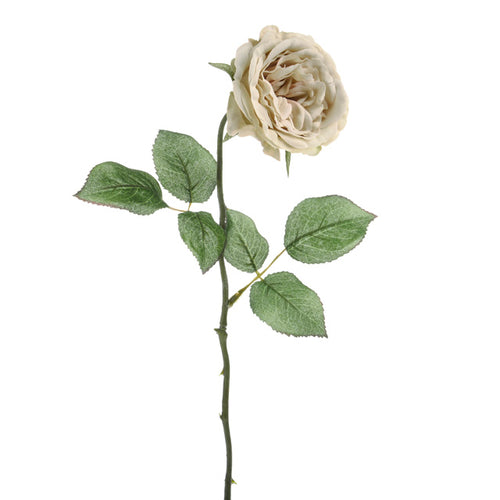 56cm Cream Rose Stem