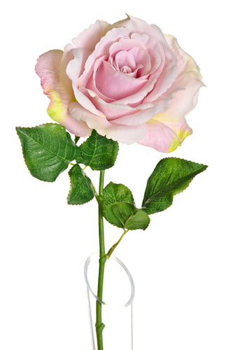 48 cm English Rose Lilac Pink