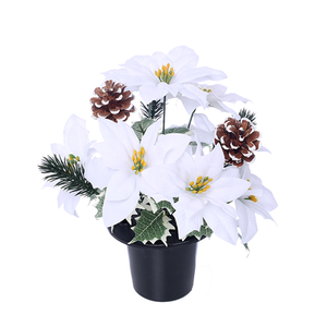 Snowy White Poinsettia with Cones -  Xmas Christmas Memorial Grave Pot