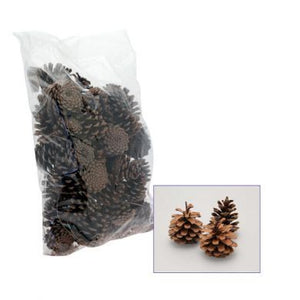 Austriaca Pine Fir Cones (1Kg)