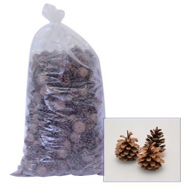 Large Bag - Austriaca Fir Cones (10Kg) - LARGE ITEM