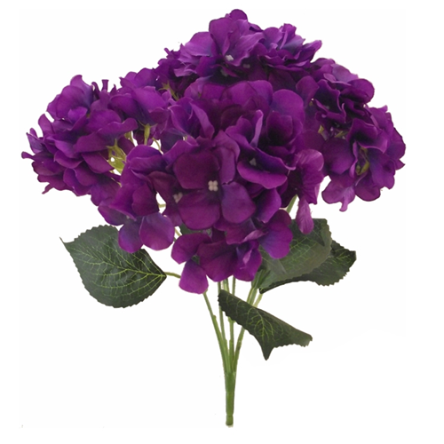 Hydrangea Bush Purple 45 cm