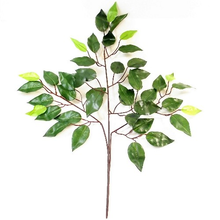 Load image into Gallery viewer, 60cm Artificial Green Ficus Branch W/42 Lvs x 12 Stems