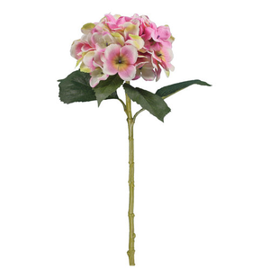 51 cm Large Hydrangea Stem Pink/Cream