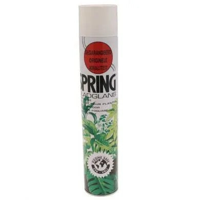 Spring Shine Can Spray - 750ml - CLICK AND COLLECT ONLY