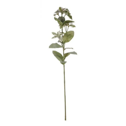 67cm Euphorbia Marginata Spray - Foliage Artificial