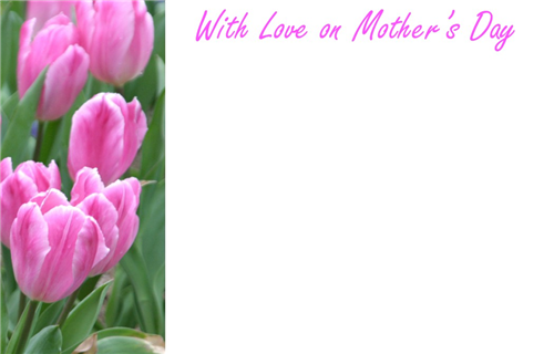 50 x Happy Mothers Day Greeting Card - Tulip Pink Decoration Floral Design