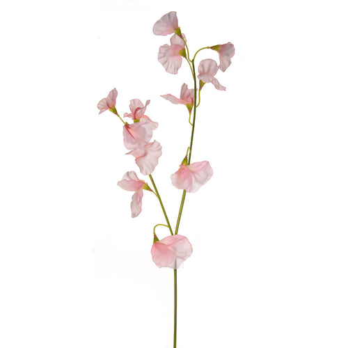 48cm Sweetpea Stem Light Pink