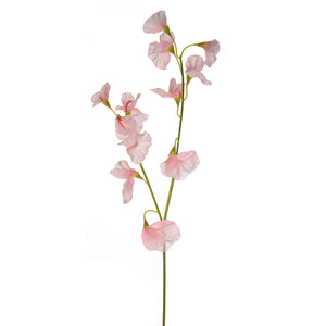 48cm Sweetpea Stem Light Pink