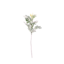 Load image into Gallery viewer, 34 cm Artificial Dusty Miller Green Foliage