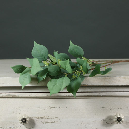 80cm Realistic Single Stem Seeded Eucalyptus Spray - Artificial Greenery