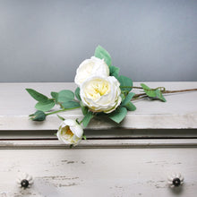 Load image into Gallery viewer, 69 cm Cream Vintage English Rose Spray - Artificial Flower