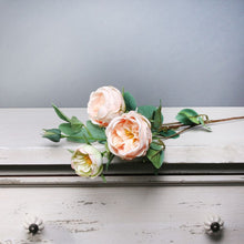 Load image into Gallery viewer, Peach Vintage English Rose Spray 69 cm - Artificial Flower