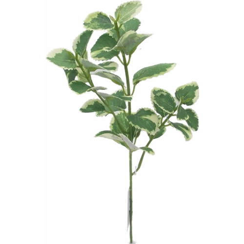 31 cm Artificial Variegated Flocked Patchouli Spray Green Foliage