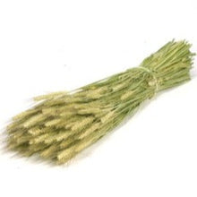 Load image into Gallery viewer, 70cm Dried Wheat Bunch